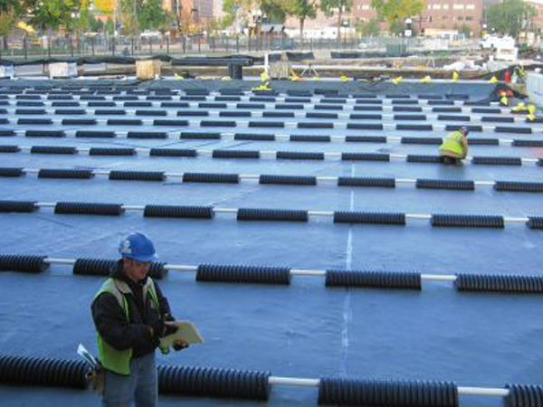 ����Ĥʩ���F(xi��n)��