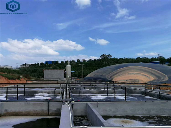 ��Һ������Ĥ�����ں�����ţ��