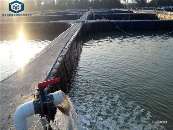 ����Ĥ���BĤ���ڽ���ˮ�a(ch��n)�B(y��ng)ֳ�(xi��ng)Ŀ