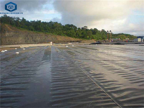 ������������BĤ