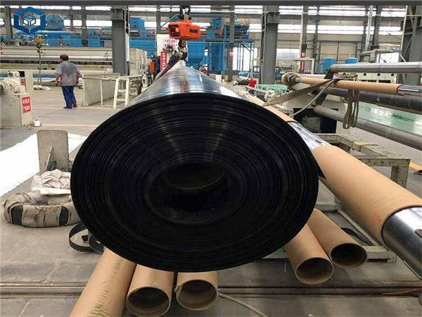 ��������Ĥ