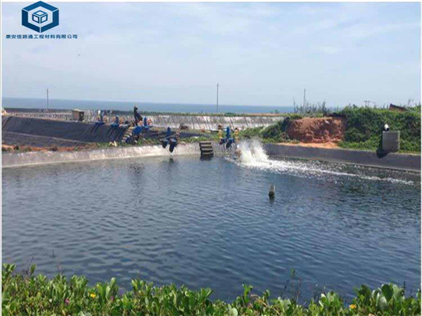 �B(y��ng)ֳ����Ĥ��O(sh��)