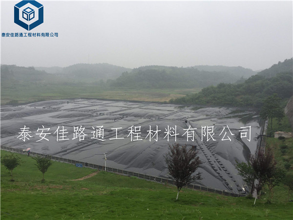 �������������Ĥ